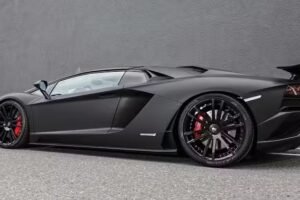 Altin Makas – Goldene Schere