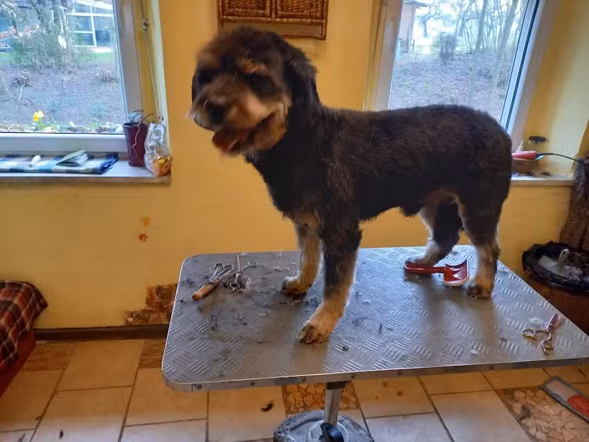 Andrea&rsquo;s Tiersalon