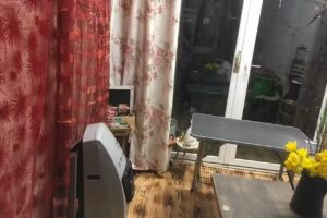 Ariana-Hundefriseurin Hundesalon Haarschnitt & Pflege