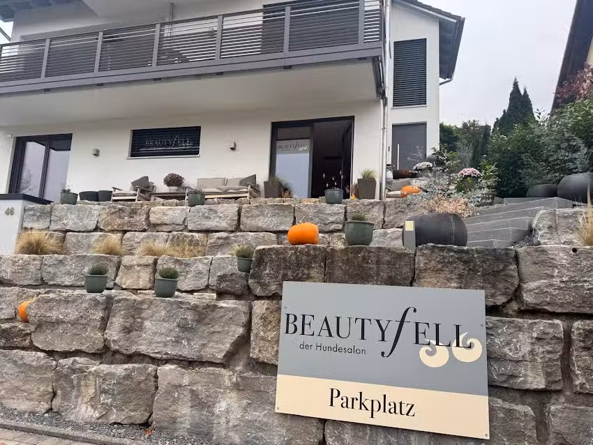 Beautyfell der Hundesalon