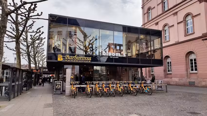 bloom&rsquo;s Friseur Mainz &ndash; H&ouml;fchen