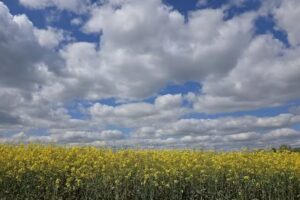 Burghausen-Rückmarsdorf
