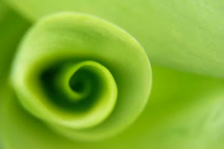 Capillus Haarschnitt | Peter B&ouml;hringer