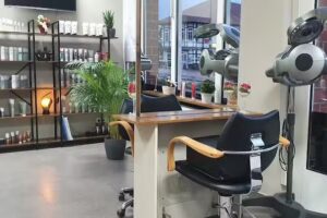 Casa Haarmonia ( Leo )