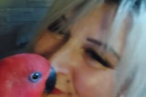 Claudette Piton Hundest&uuml;bchen