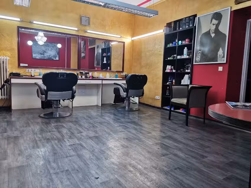 Coiffeur Friseur Vienna &ndash; Berlin