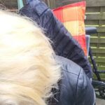 Cut & Cash DIE HAARSCHNEIDER