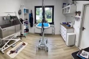 Dée Scherer Salon & Spa für Vierbeiner