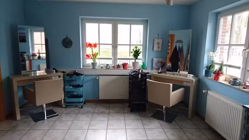 Der Inselfris&ouml;r