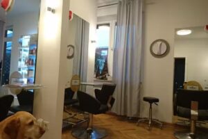 Die Schumacher &ndash; der Salon