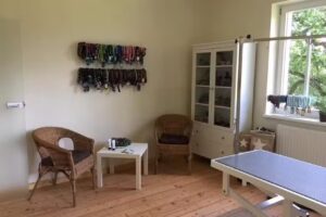 Dogs Beauty Hundesalon Bad Kissingen