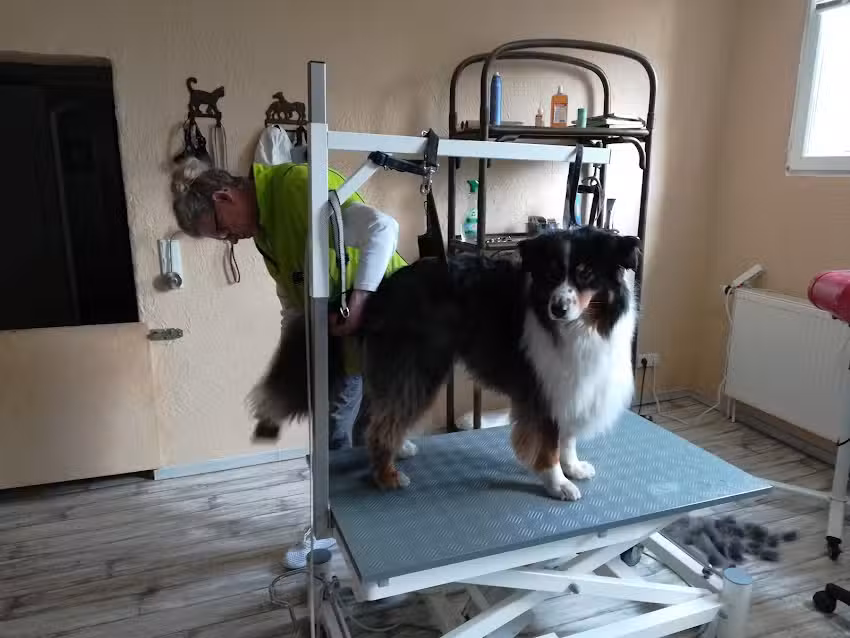 Driefeler Fellprofis