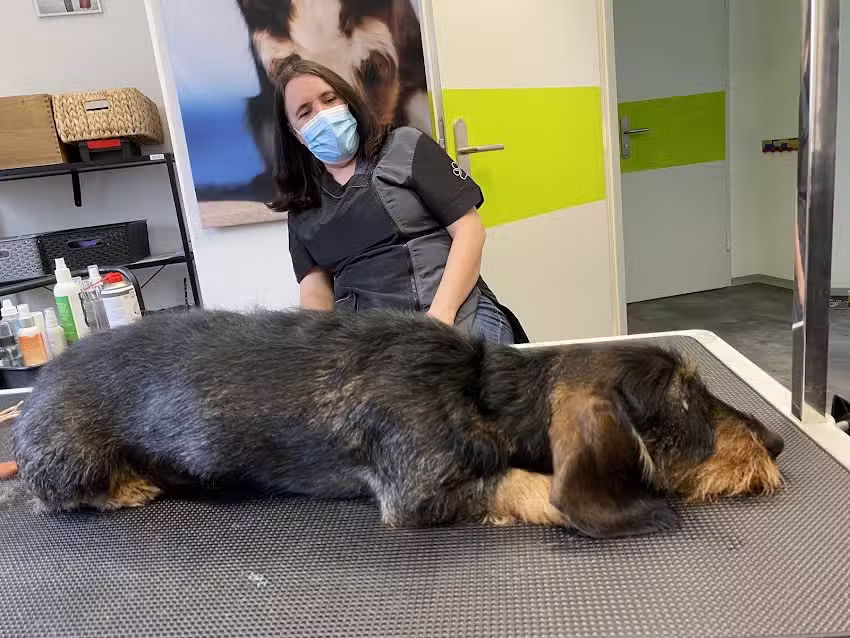 Easy Grooming Hundesalon