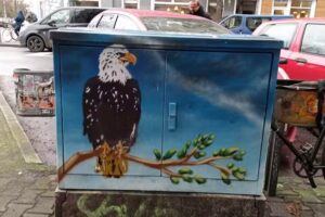 Engelshaar und Teufelslocke