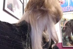 Essanelle Ihr Friseur City-Galerie Augsburg