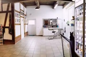 Fellnest &ndash; Professionelle Pflege f&uuml;r Hund & Katz