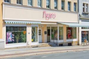 Figaro Hin und Hair