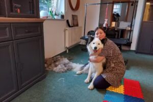 Flotte Pfötchen – Hundefriseur Hundesalon Inh. Anna Warham