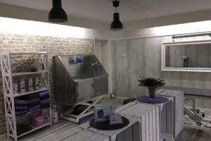 fluffy-fur Ihr Hundefriseur