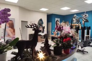 Franzi&rsquo;s Schnittstelle