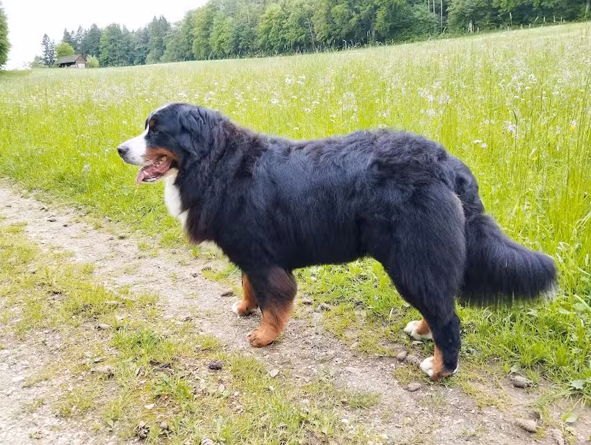 Fr&auml;ulein Flauschig