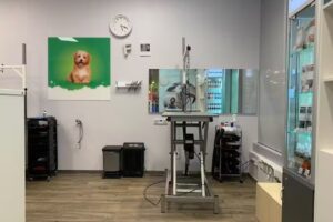 Fressnapf Salon Kassel