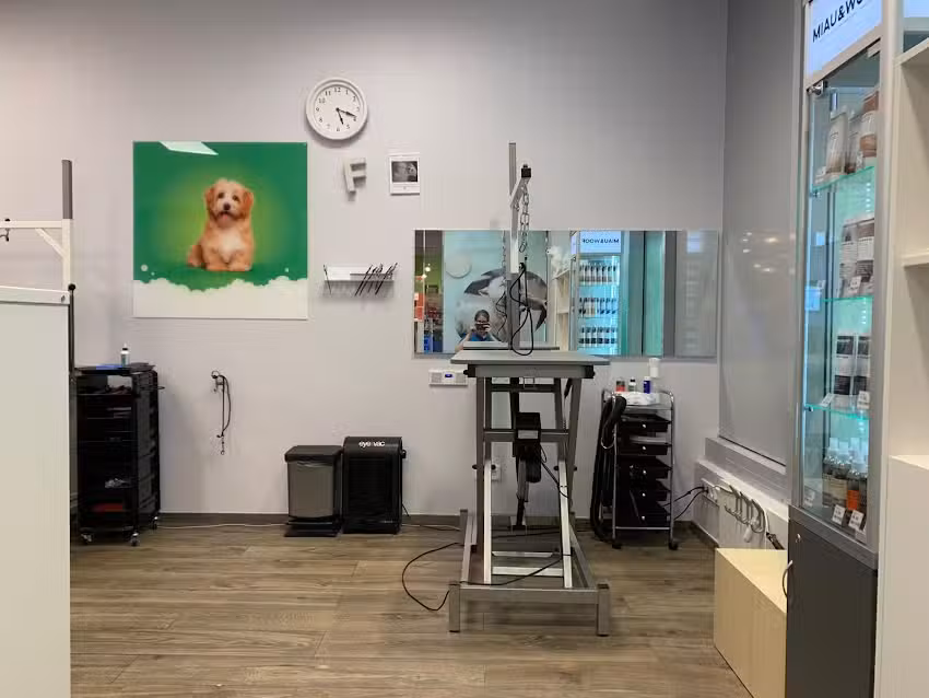 Fressnapf Salon Kassel