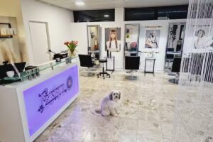 Friseur By Chrisula Peiou