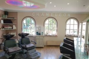 Friseur Chameleon