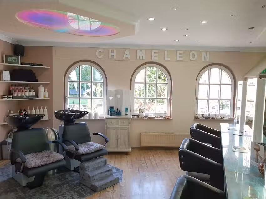 Friseur Chameleon