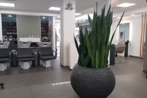 Friseur Hair Care bei Kerstin Chemnitzer