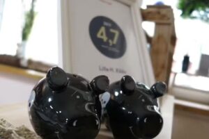 Friseur Lille H. Kööv – Schön ohne Stress