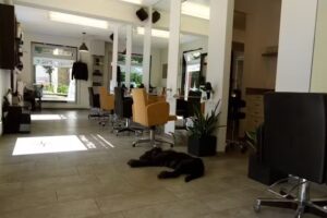 Friseur Nitz