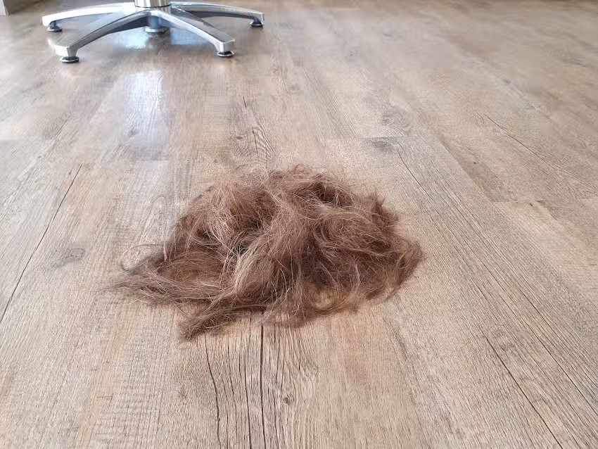 Friseur Struwwelliese