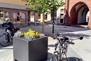 Friseursalon Capelli Krcmar-Duta