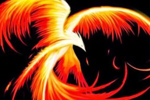 Friseursalon „ FÖN-X „ Steffi Bahr