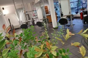 Friseursalon Inge Neumann