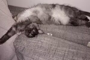 Friseursalon Katrin Grenz in Berlin