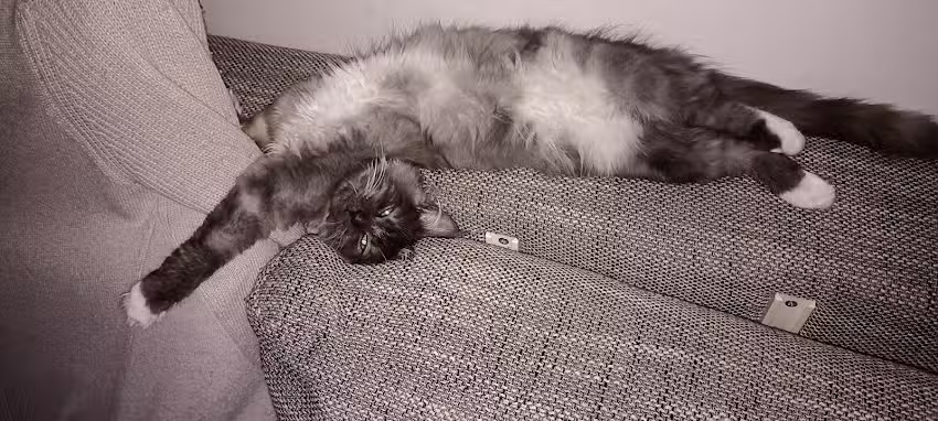 Friseursalon Katrin Grenz in Berlin