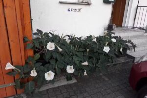 Friseursalon Otto Sorrentino