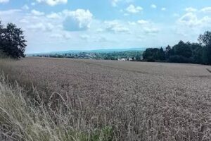 Friseursalon & Per&uuml;ckenstudio Uta Hascher