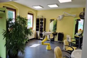 Friseurstudio CoCo + Per&uuml;ckenstudio , Inh. Constanze Reinhold