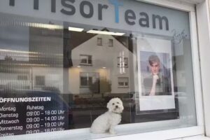 Fris&ouml;rteam Katja