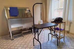 Gassifein Hundesalon