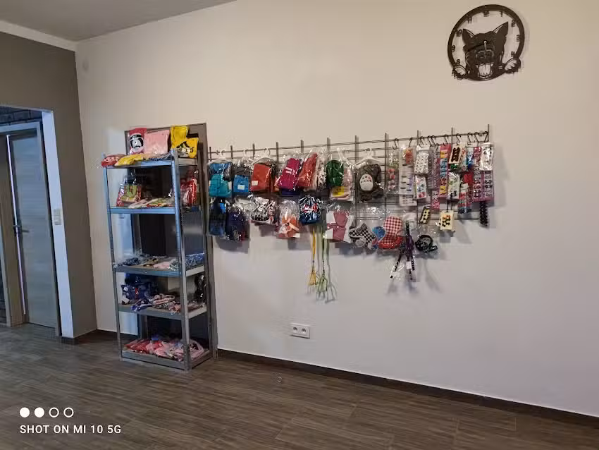 Goldene Pfote HundeSalon