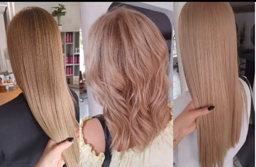 GutHair Angelika Trigub