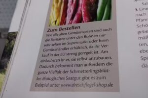 Haar – Studio Stamm