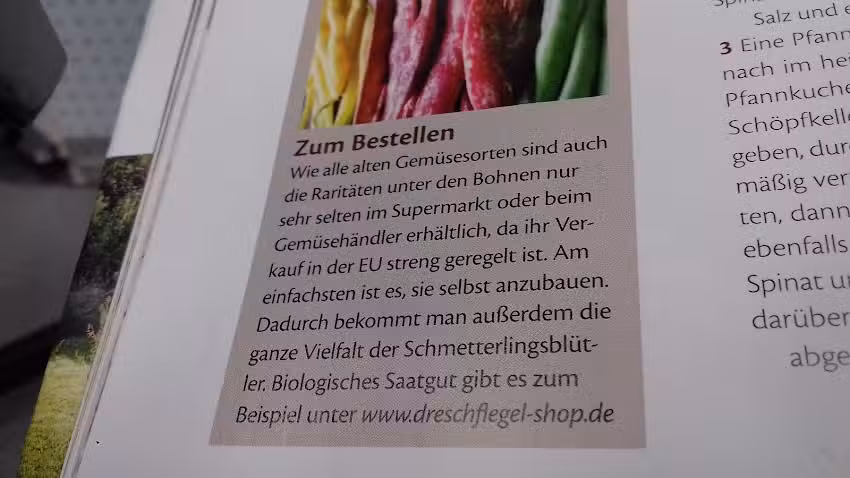 Haar &ndash; Studio Stamm