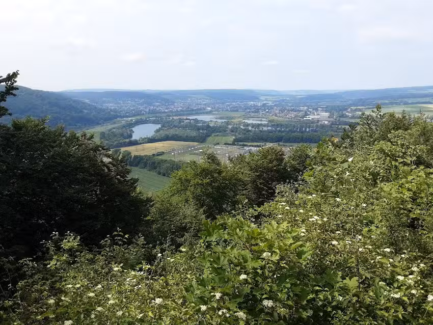 Haarbr&uuml;ck