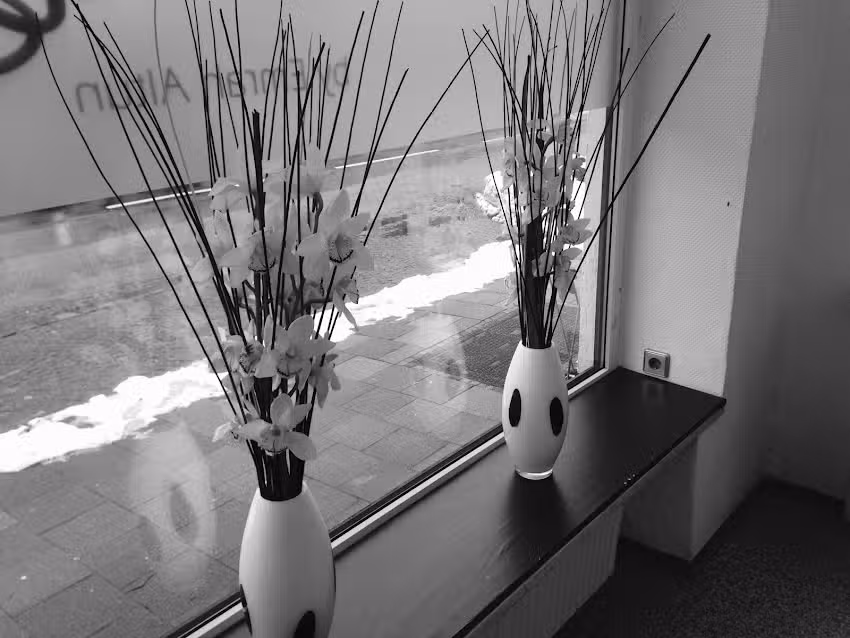 HaarFactory by Emrah Altun